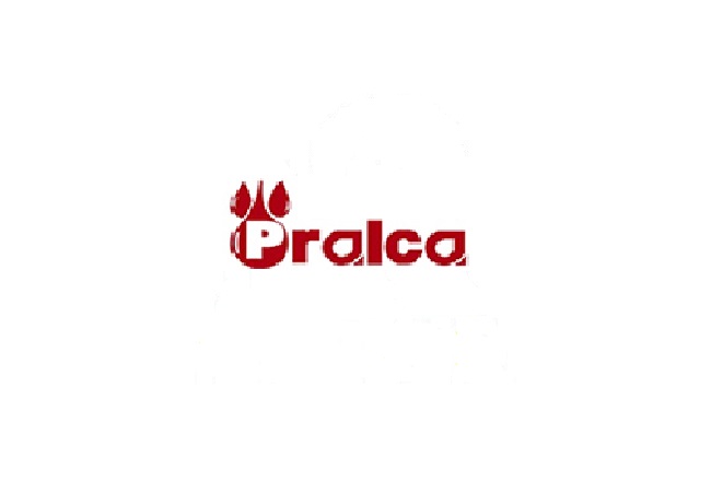Pralca